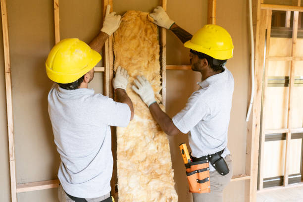 Professional Insulation Services in Groves, TX